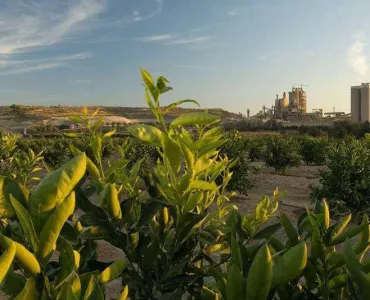 CEMEX's Alicante cement plant in Spain