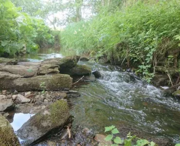 Tarmac’s gravel donation has been a positive addition to rivers and streams in Yorkshire. Photo: Professor Jonathan Grey