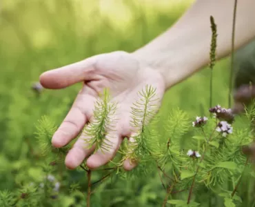 Holcim were selected by SBTN based on their advanced science-driven approach to nature