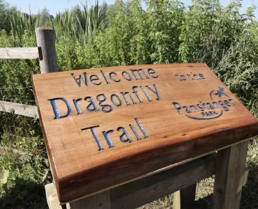 Tarmac-owned Panshanger Park has been named a dragfly hotspot by the British Dragonfly Society