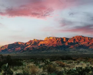 Special recognition was given to Cemex’s El Carmen Nature Reserve, which received the WHC’s Desert Project of the Year