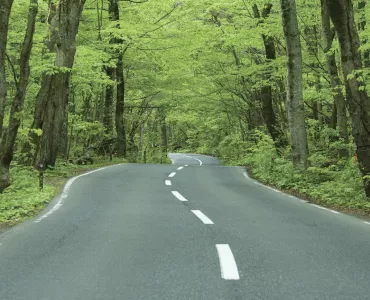 The APPG for Better Roads is calling for a Better Roads Fund to be created with longer-term funding commitments, budget ring-fencing and full transparency on allocation