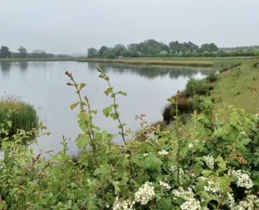 Aggregate Industries UK have published their first company-wide nature strategy