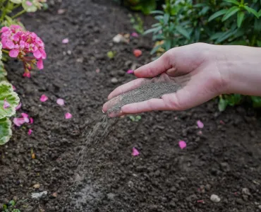 ProGrow Rockdust comes from a little used by-product of the quarrying industry