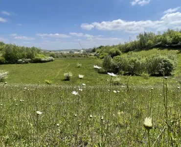 Photo taken at Kensworth Quarry where Cemex have undertaken a significant land restoration programme to enhance biodiversity across the site 