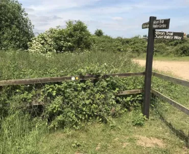 Paxton Pits Heron Trail