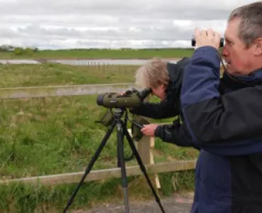 Banks Mining's bird survey