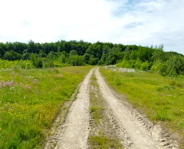 Restored Moss Carr coal site