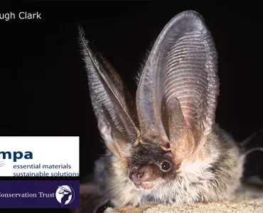 MPA and Bat Conservation Trust