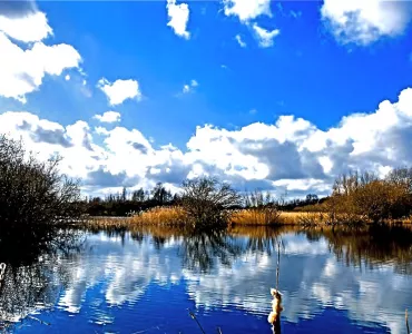 Brett's award-winning Great Stour Way & Hambrook Marshes site