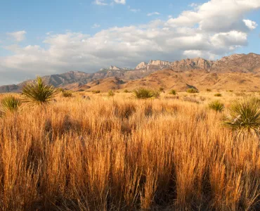 El Carmen conservation area