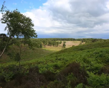 CEMEX's restored Rugeley Quarry