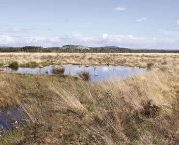 Foulshaw Moss Nature Reserve