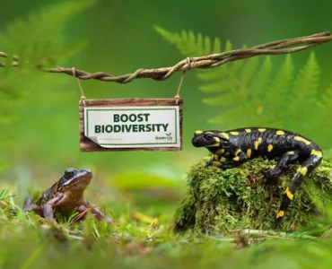 HeidelbergCement boost biodiversity