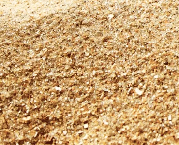 Sand