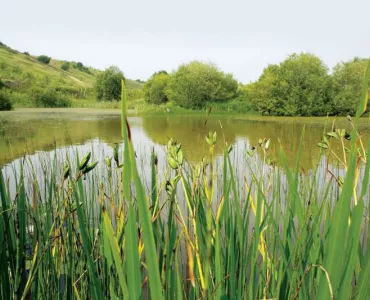 Tarmac's Tunstead site