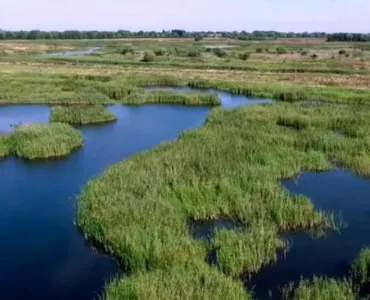 RSPB Ouse Fen