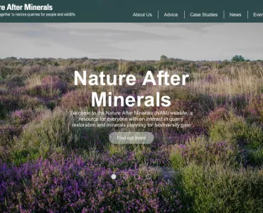 Nature After Minerals