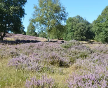 Tarmac National Nature Reserve