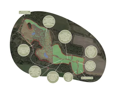 Planting plan