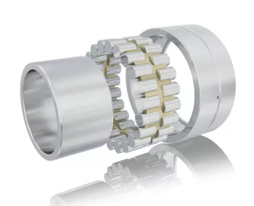 Schaeffler X-life cylindrical rolling bearing