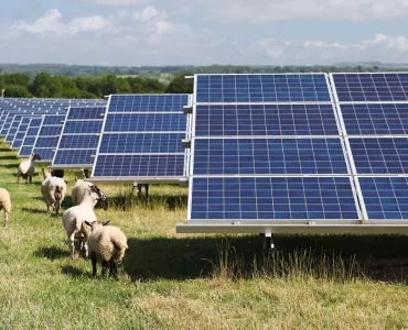 Solar farm