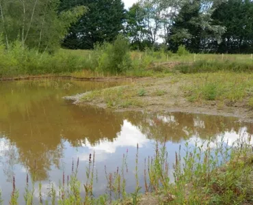 Eardington nature reserve