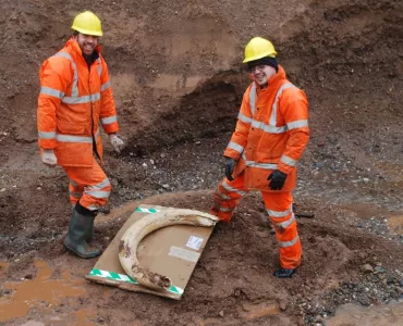 Woolly mammoth tusk unearthed at Tarmac site