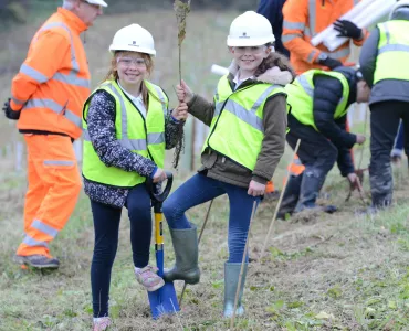 Tree planting