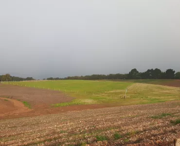 Venn Ottery Quarry restoration