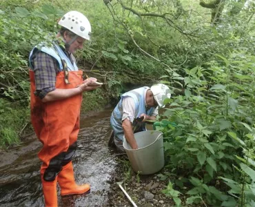 Wild Trout Trust