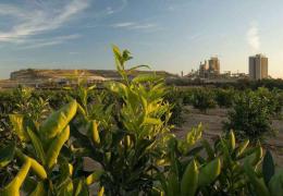 CEMEX's Alicante cement plant in Spain