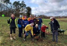 Final tree planting at Panshanger Park