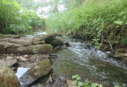 Tarmac’s gravel donation has been a positive addition to rivers and streams in Yorkshire. Photo: Professor Jonathan Grey