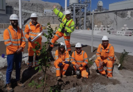 Tunstead employees planted native trees and shrubs in a new green space located on site