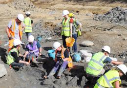 Palaeontologists excavating a mammoth tusk found at a Hills Quarry Products site near Swindon