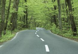 The APPG for Better Roads is calling for a Better Roads Fund to be created with longer-term funding commitments, budget ring-fencing and full transparency on allocation
