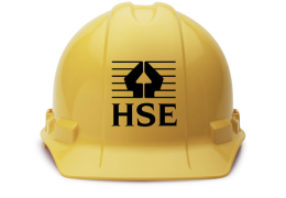 An investigation by the HSE found MAC Demolition had failed to adequately assess the risk of falling objects during demolition and failed to implement and enforce adequate exclusion zones