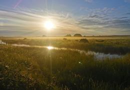 Oare Marshes. Photo: Nadia Ward