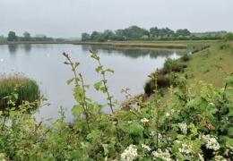Aggregate Industries UK have published their first company-wide nature strategy