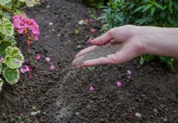 ProGrow Rockdust comes from a little used by-product of the quarrying industry