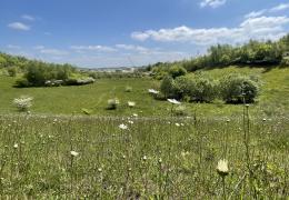 Photo taken at Kensworth Quarry where Cemex have undertaken a significant land restoration programme to enhance biodiversity across the site 