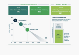 Boral decarbonization