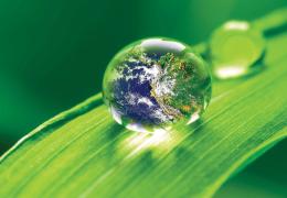 Carbon offsetting