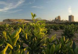 CEMEX Alicante