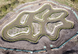 Greengairs pond