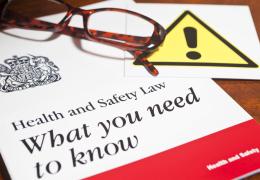 Health and Safety South 2013