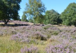 Tarmac National Nature Reserve