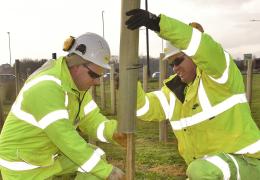 Colas tree planting