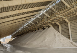 Boral fly ash